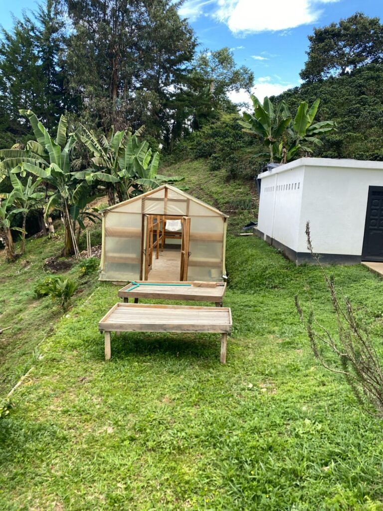 finca2